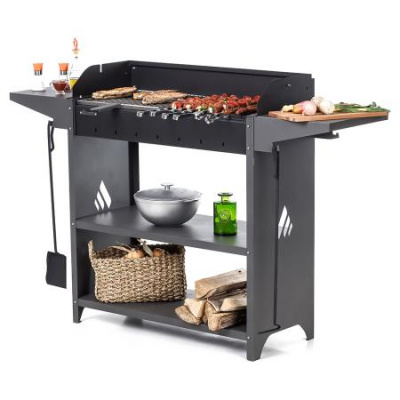 Гриль-мангал Professional Standart Grill